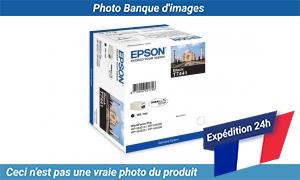 C13T74414010 Epson Workforce Pro WP-M4015 DN Cartouche d'Encre Noir C13T74414010